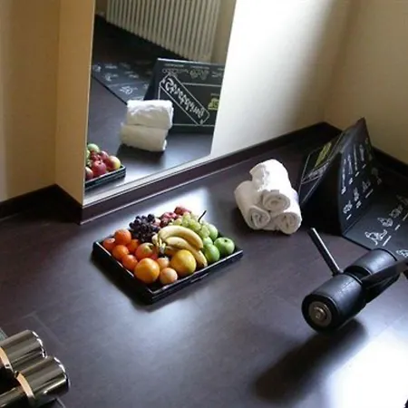Hotel Methis