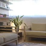 Methis Padua